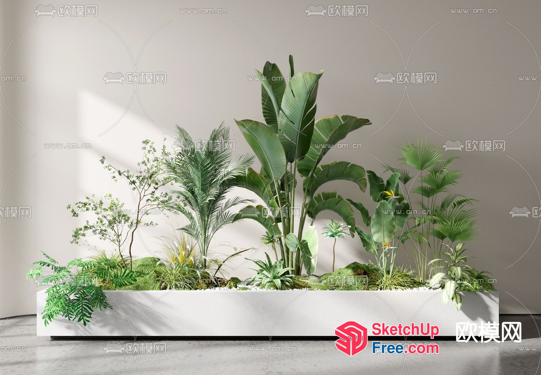 Tropical Plant Arrangement In White Planter 3D SketchUp File