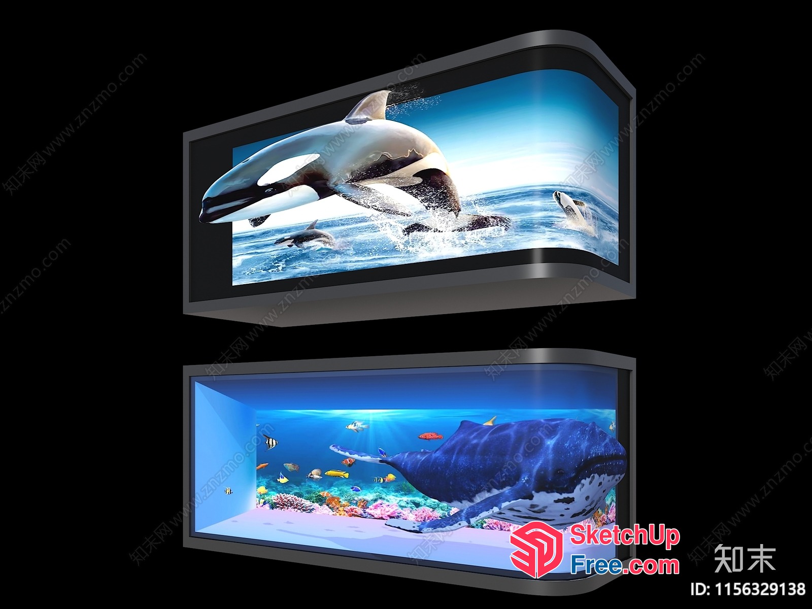 Colorful Marine Life Aquarium Scene 3D SketchUp File