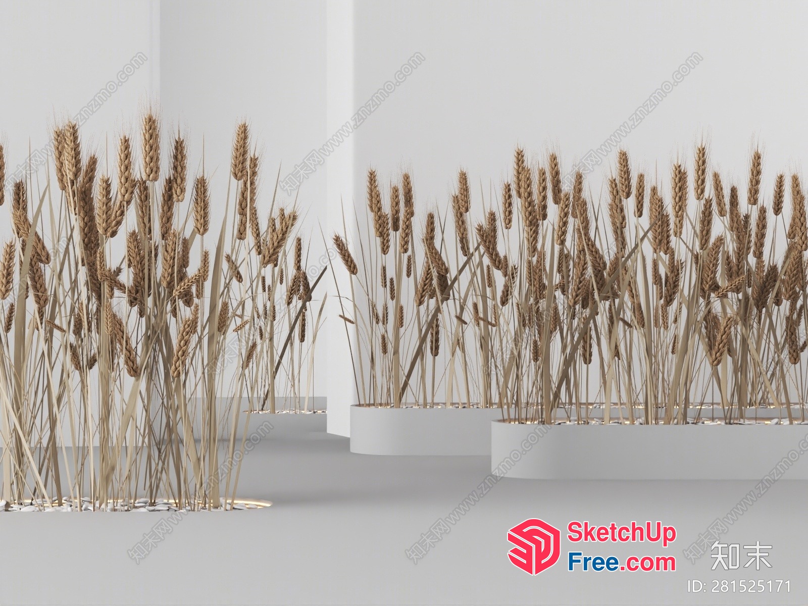 Wheat Grass Arrangement In A Modern White Room 3D SketchUp File