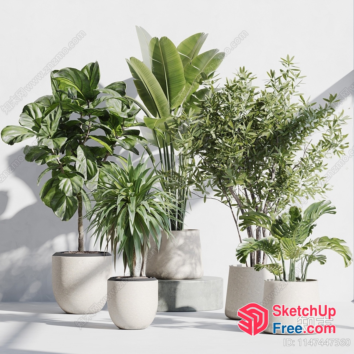 Potted Plants In White Pots 3D SketchUp File