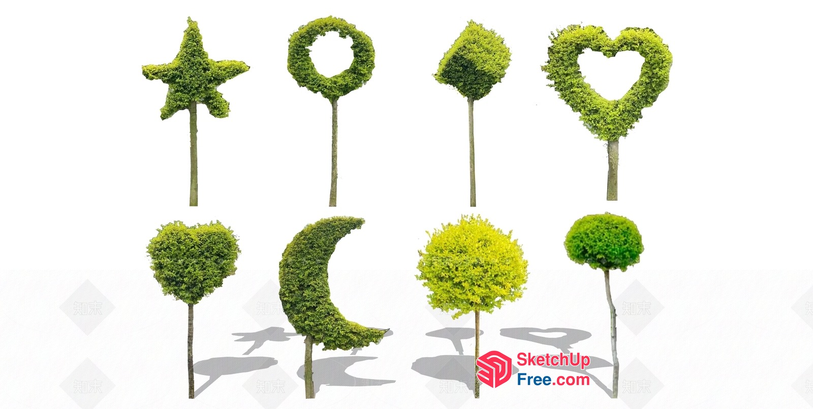 Exotic Greenery Arrangement 3D SketchUp File