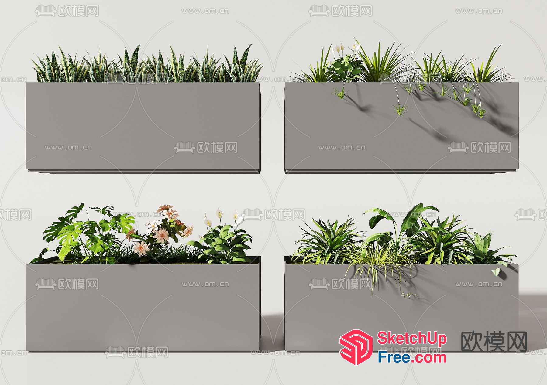 Rectangular Planters With Varied Greenery 3D SketchUp File