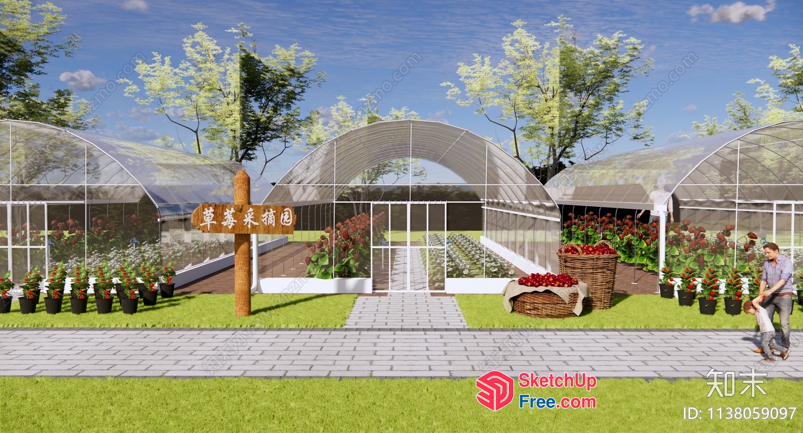 Glass Greenhouse With Potted Plants And Trees 3D SketchUp File