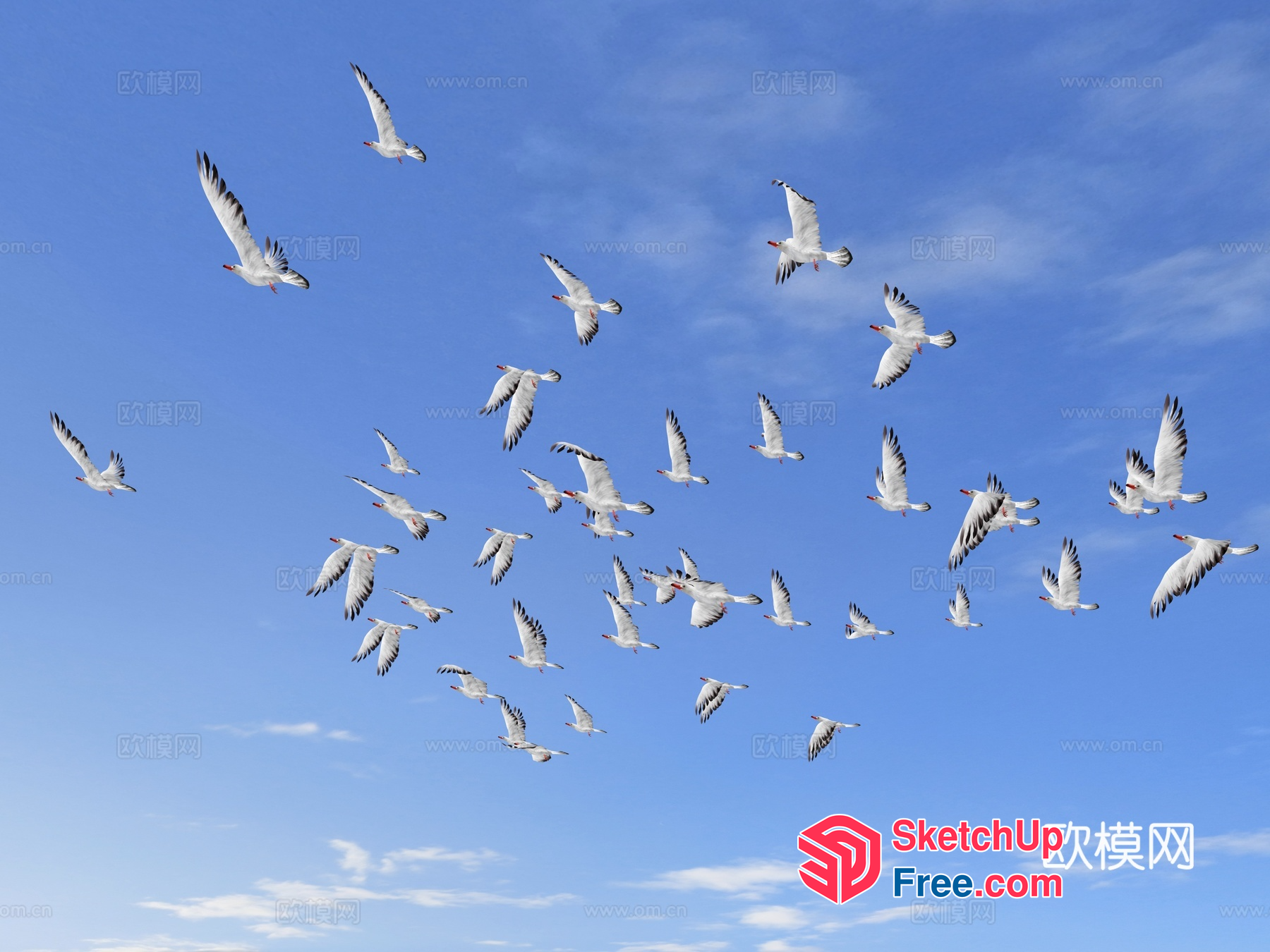 Flock Of Birds In The Sky 3D SketchUp File