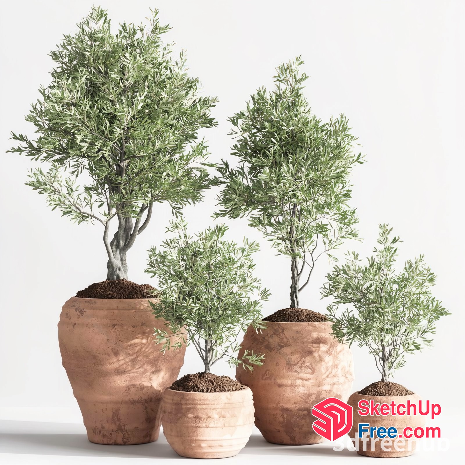 Four Potted Plants In Clay Pots 3D SketchUp File