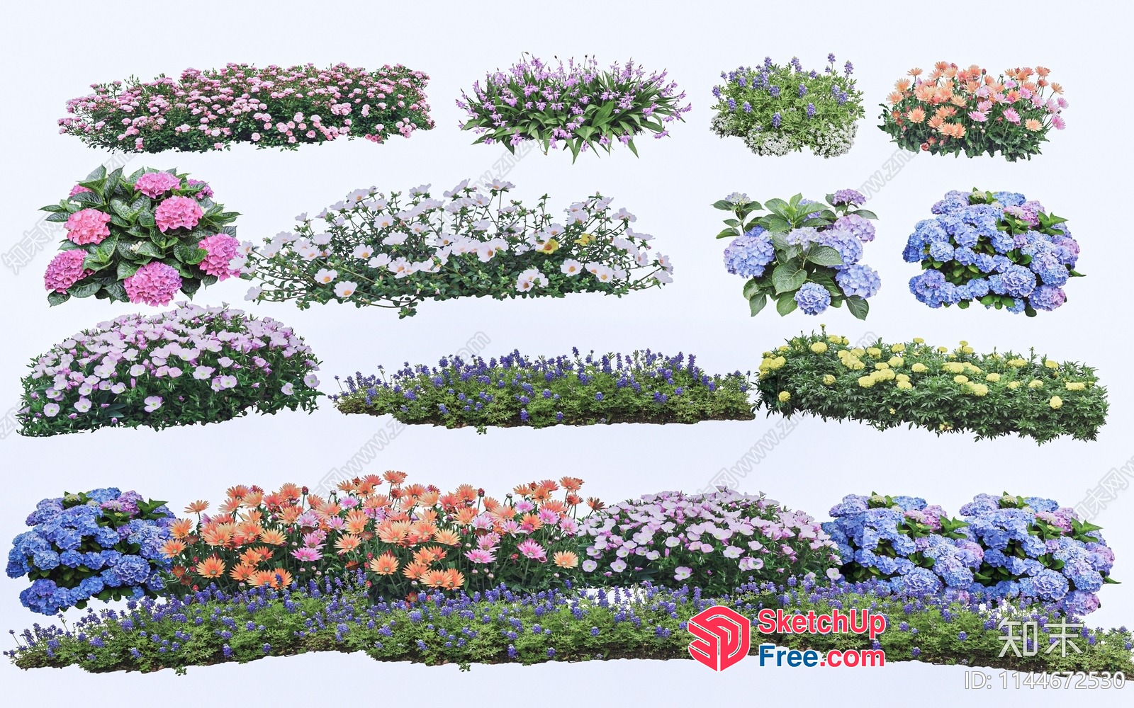 Floral Flowers Collection 3D SketchUp File