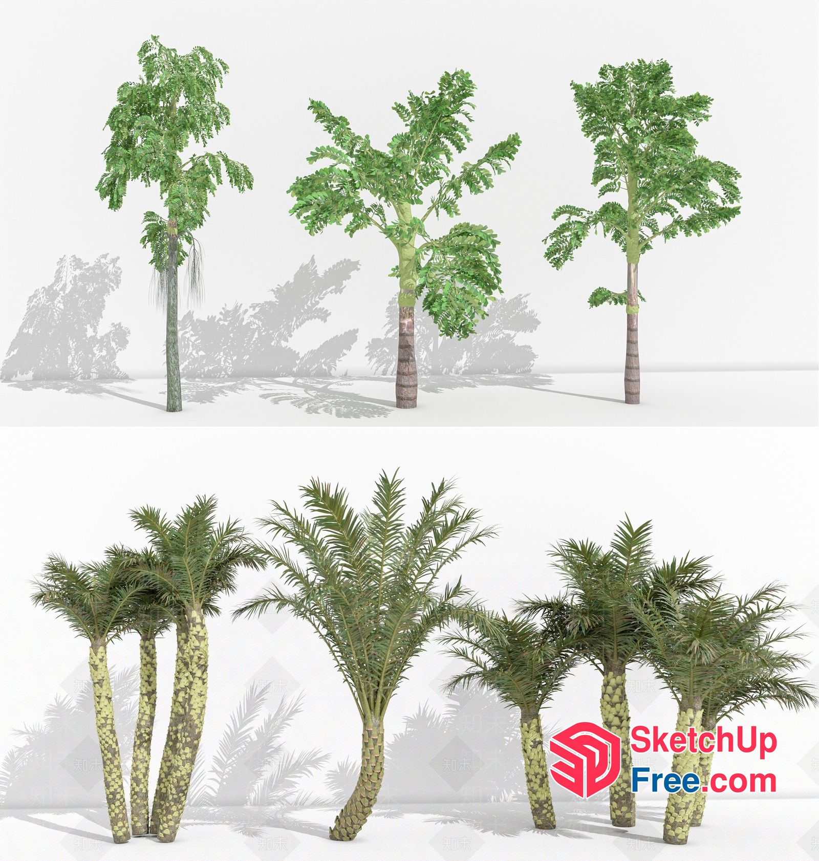 Palm Trees In A Row 3D SketchUp File