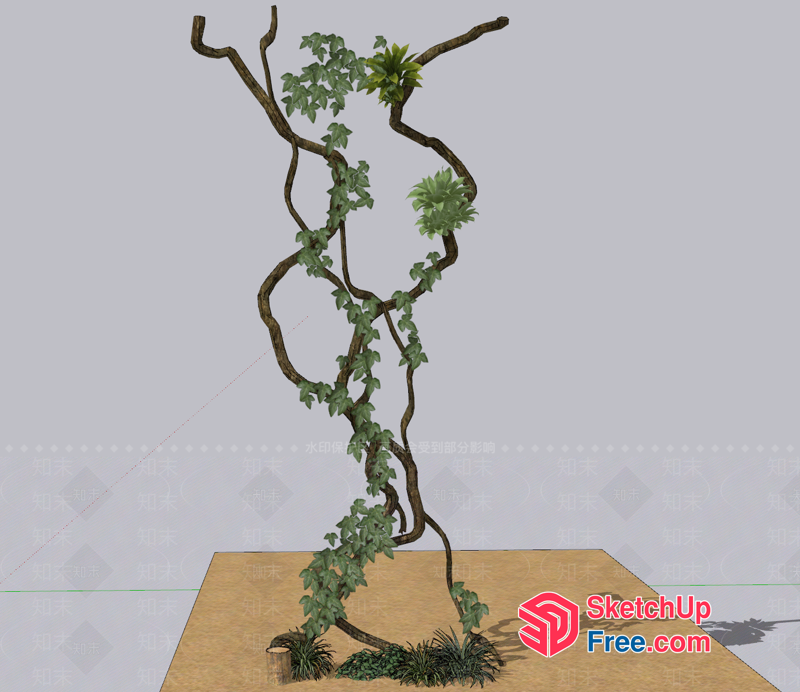 Elegant Ivy Decorative Vine 3D SketchUp File