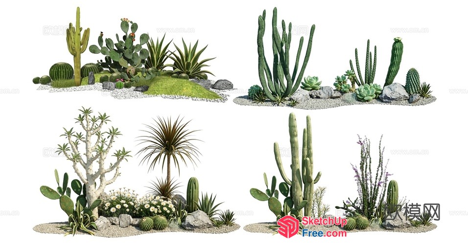 Desert Landscape With Cacti And Succulents 3D SketchUp File
