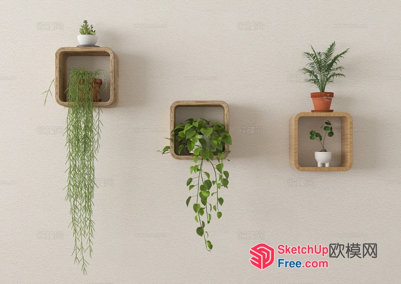 Wall-Mounted Wooden Plant Shelves With Potted Plants 3D SketchUp File