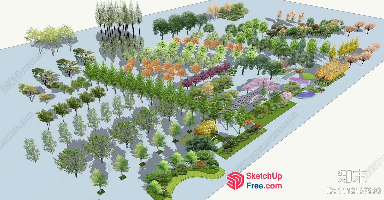 3D Rendering Of A Diverse Tree Landscape 3D SketchUp File