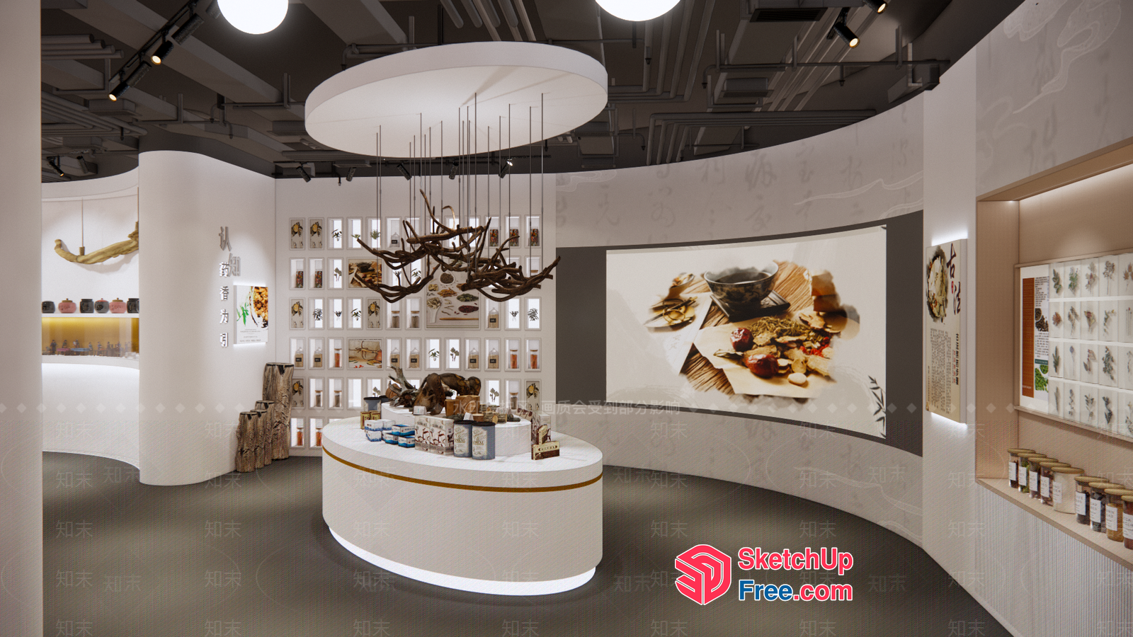 Modern Interior Design Showroom With Curved Walls And Decorative Lighting 3D SketchUp File