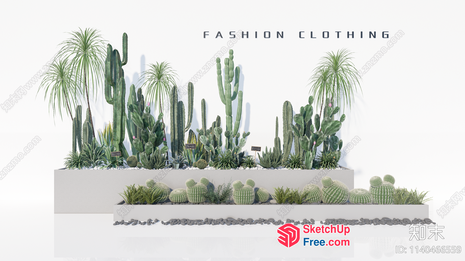 Cacti And Succulent Arrangement 3D SketchUp File