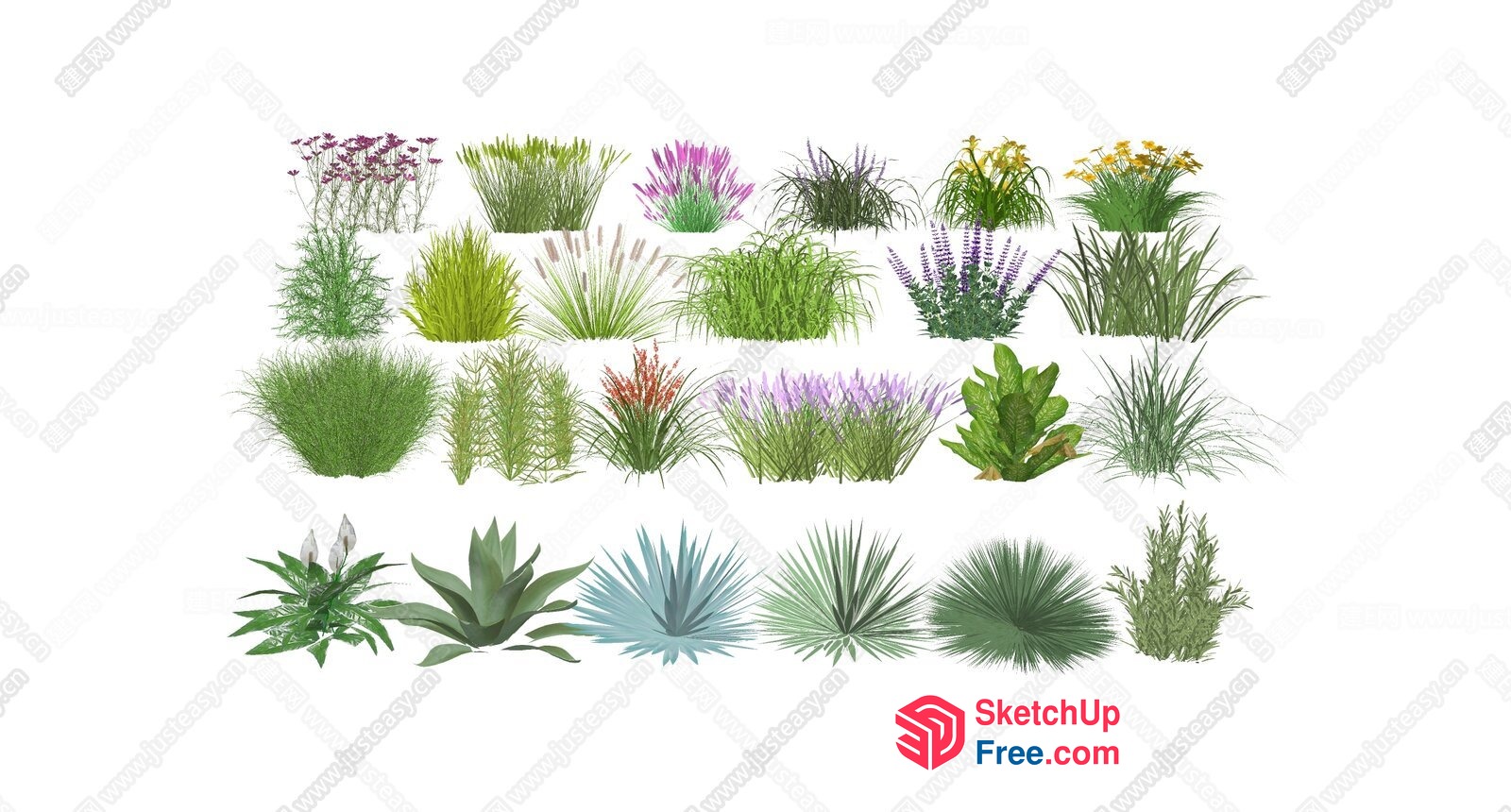 Various Plants And Trees 3D SketchUp File