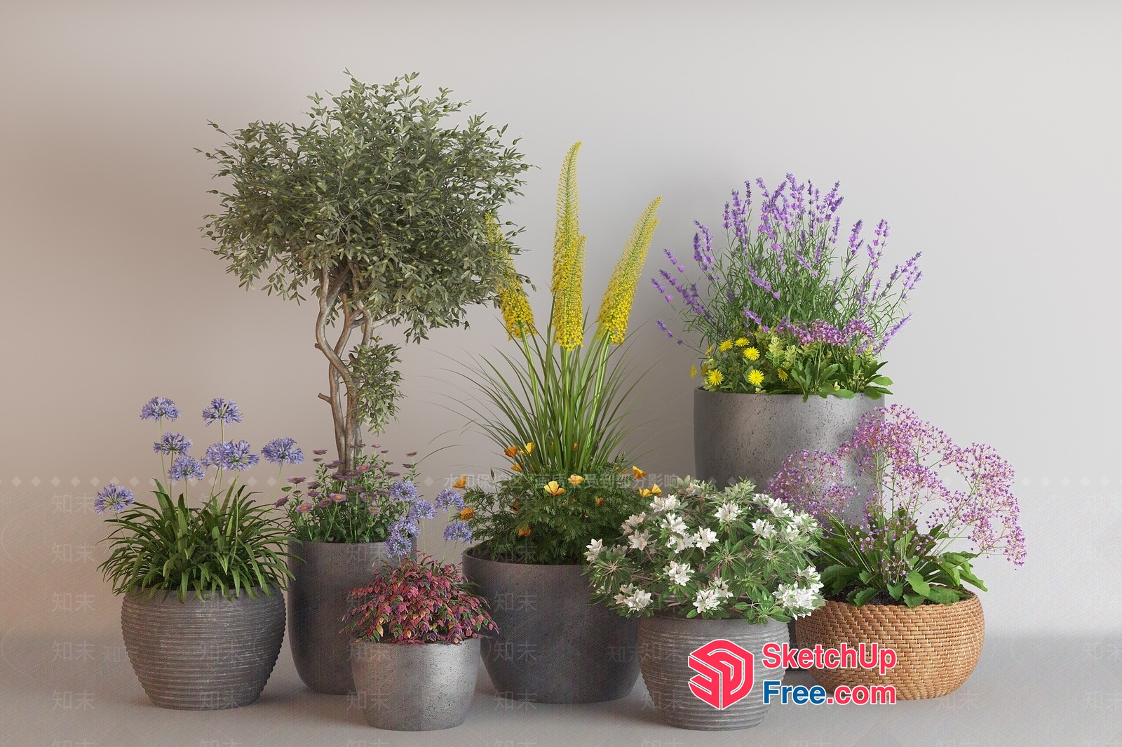 Potted Plants Arrangement In Interior Space 3D SketchUp File