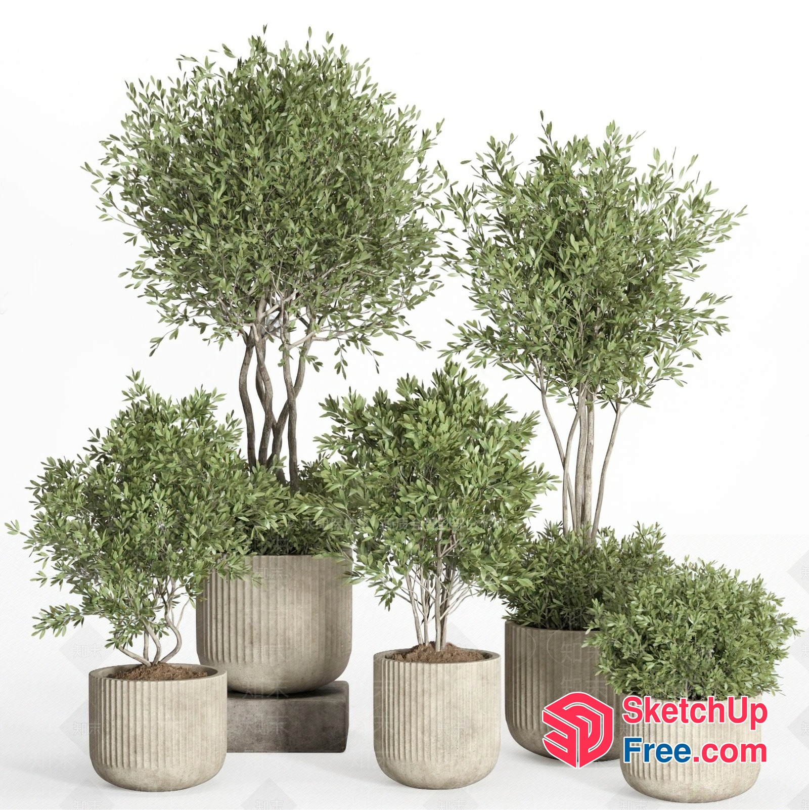 Potted Green Plants In Decorative Pots 3D SketchUp File