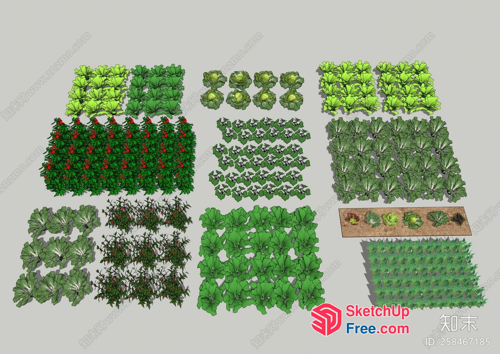 3D Rendered Greenery And Plants 3D SketchUp File