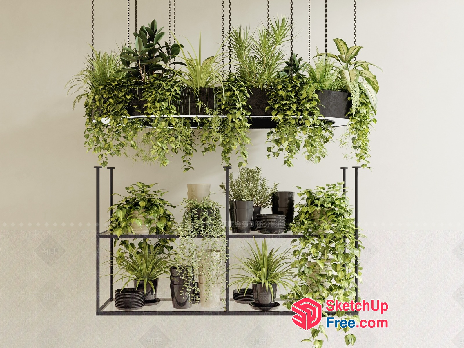 Hanging Potted Plants On Metal Shelf 3D SketchUp File