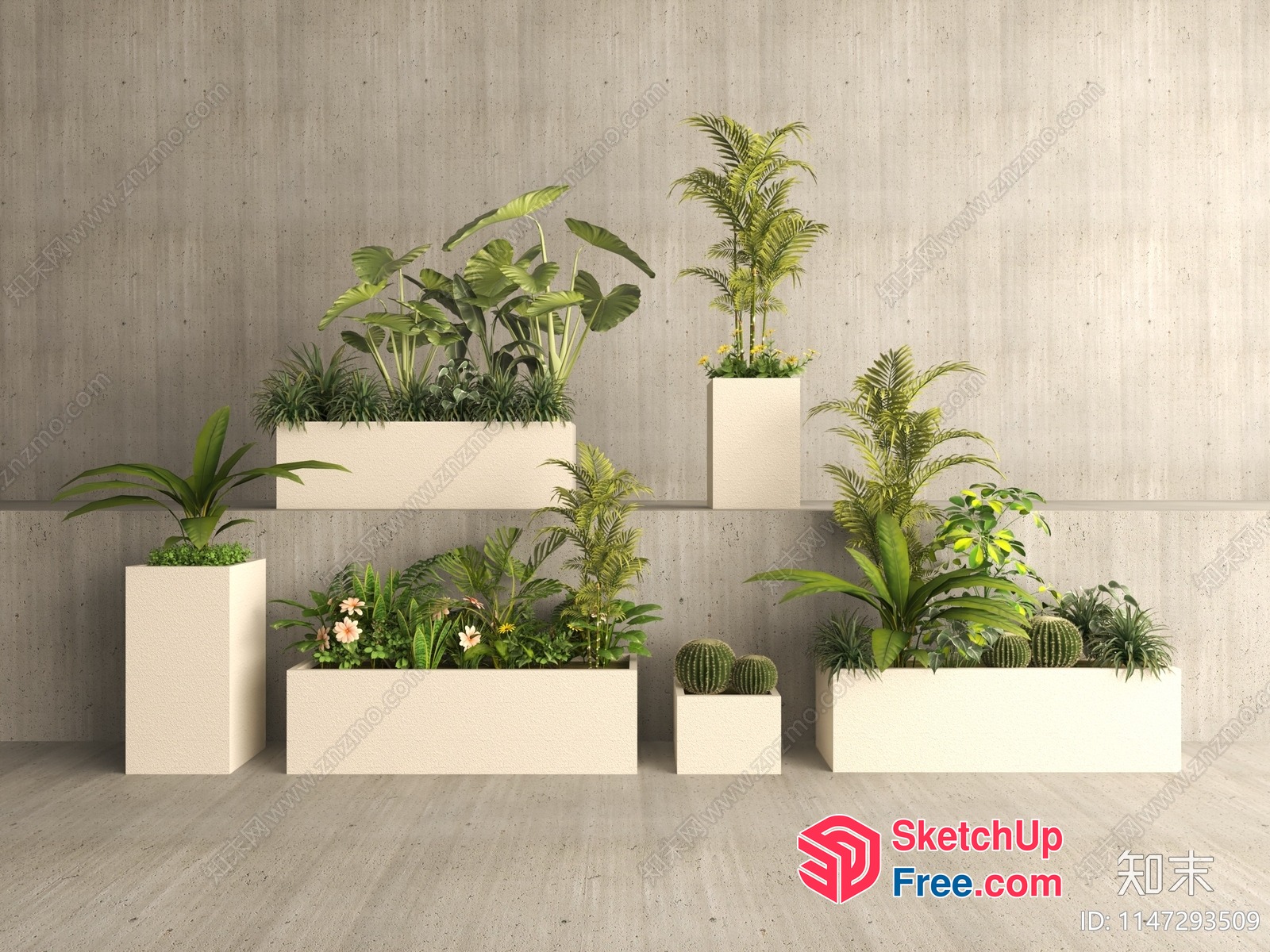 Potted Plants On White Planters 3D SketchUp File