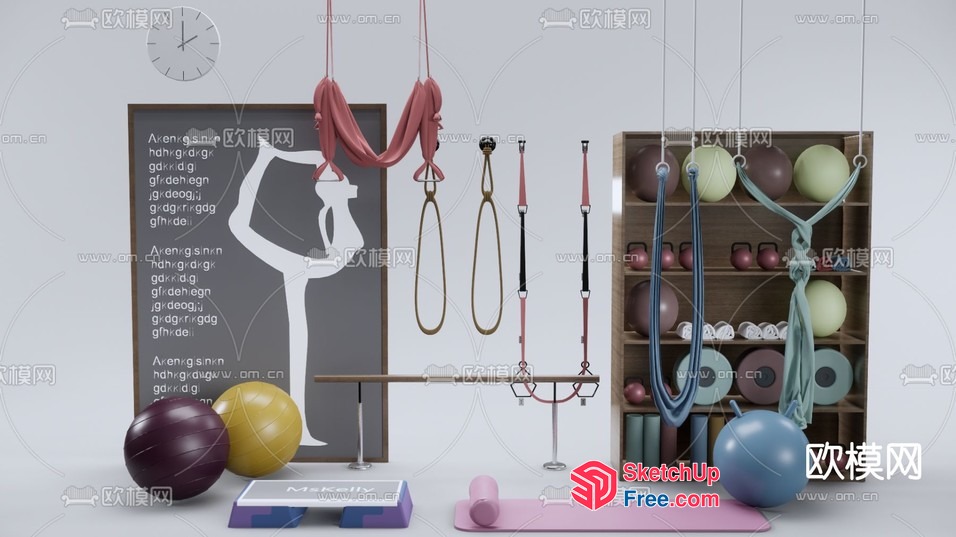 Modern Home Gym With Yoga And Fitness Equipment 3D SketchUp File