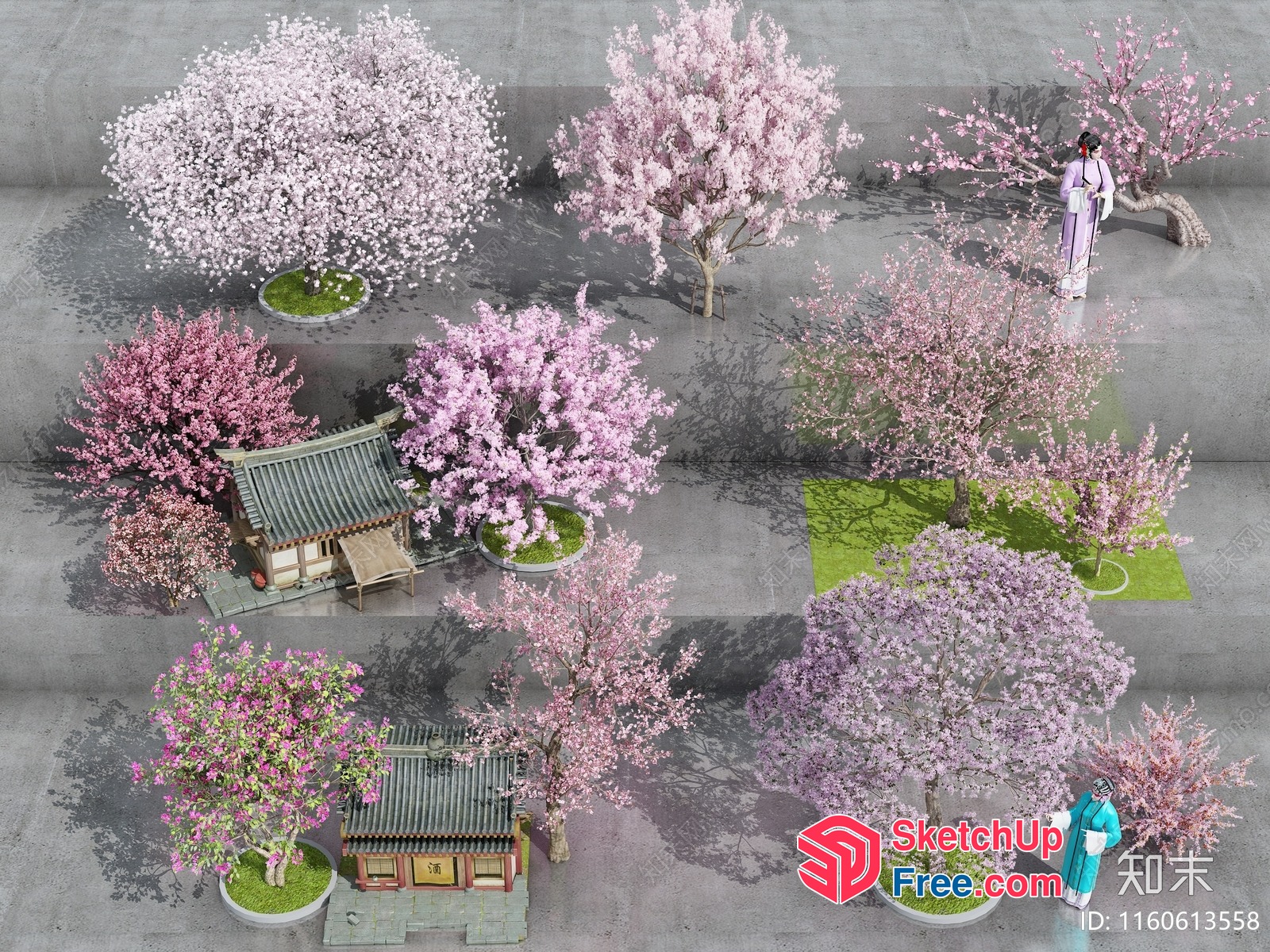 Beautiful Japanese Cherry Blossom Garden 3D SketchUp File