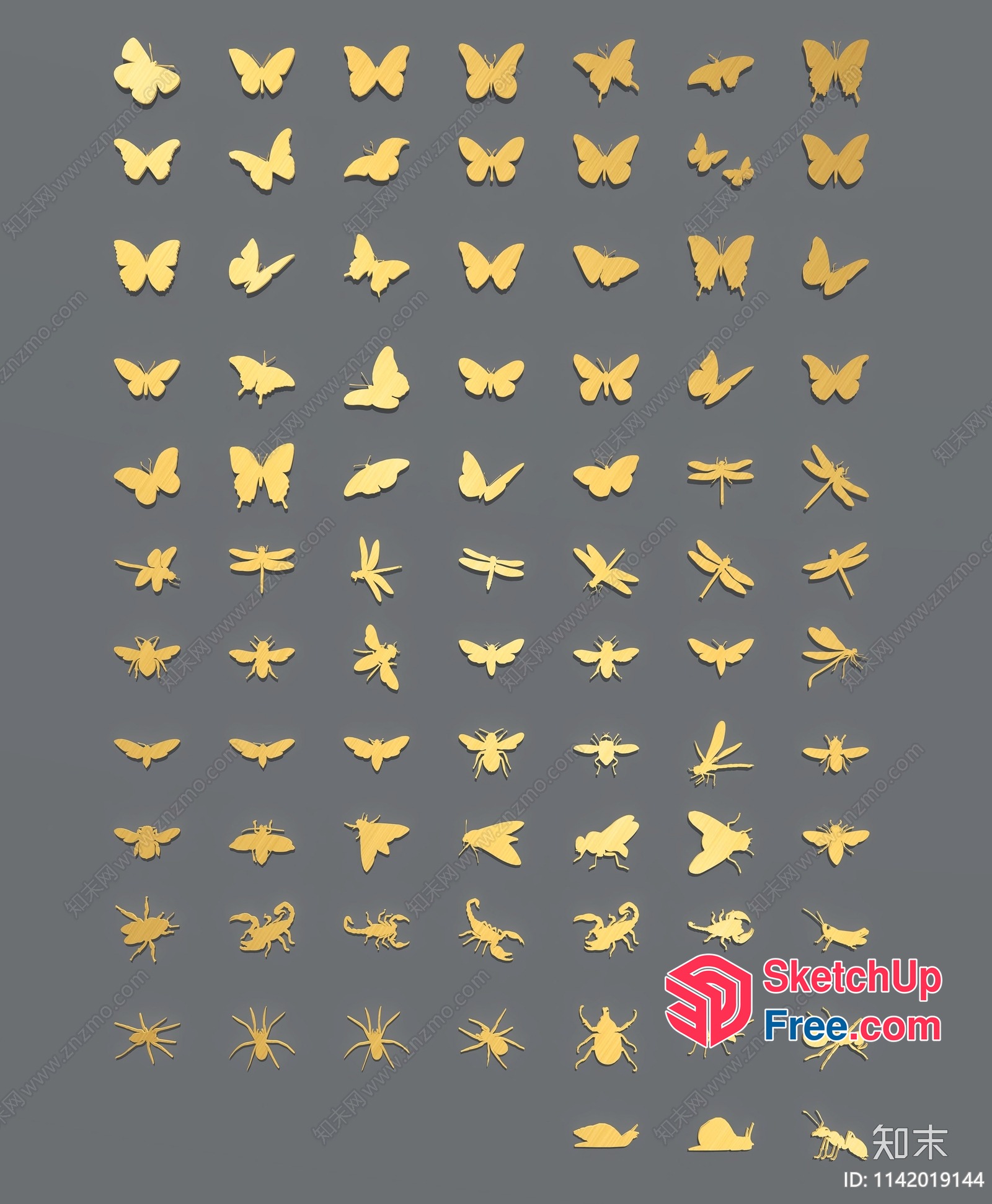 Insects And Insect-Like Objects 3D SketchUp File