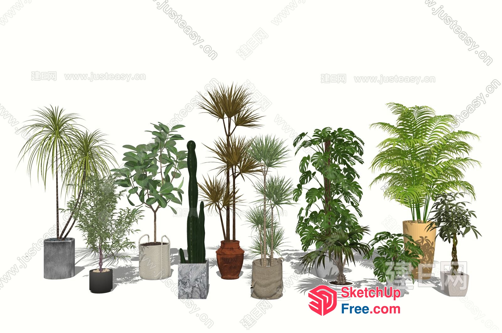 Potted Plants In Various Styles And Sizes 3D SketchUp File