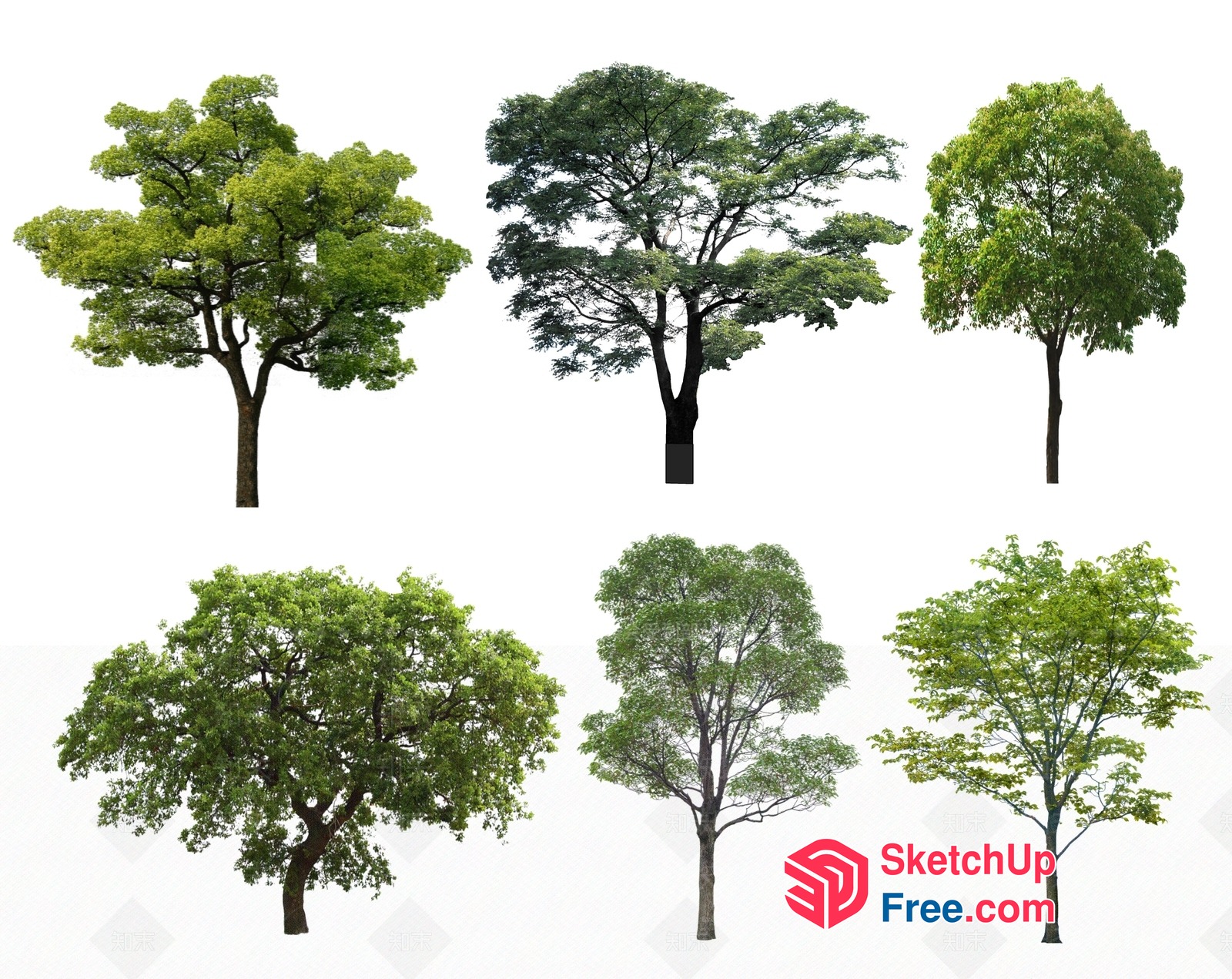 Lush Green Trees Set 3D SketchUp File