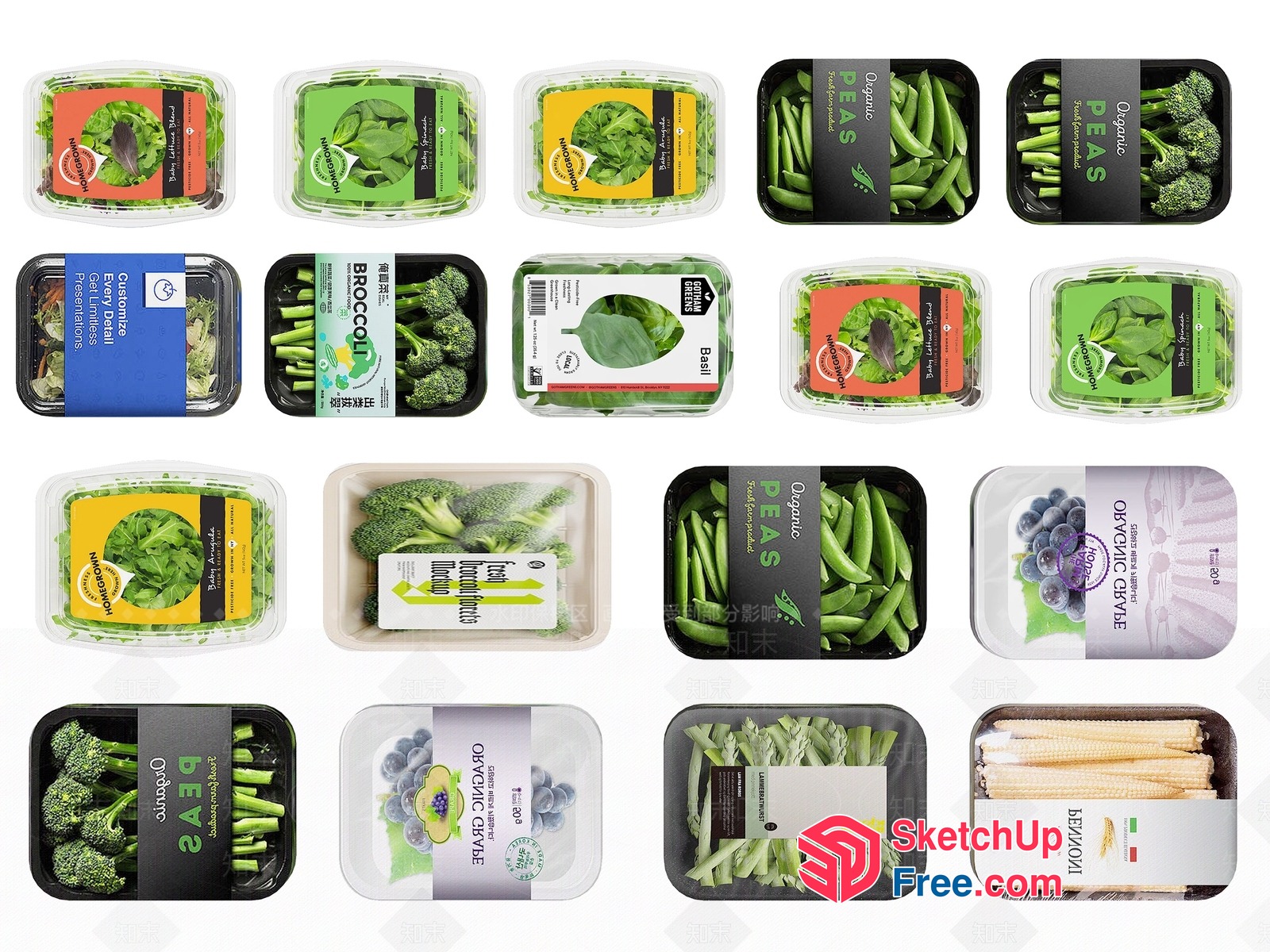 Organic Food Packaging Options 3D SketchUp File
