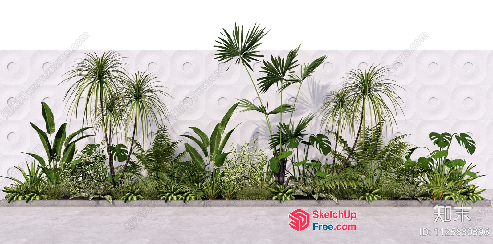 Exotic Tropical Plants In Front Of White Wall 3D SketchUp File