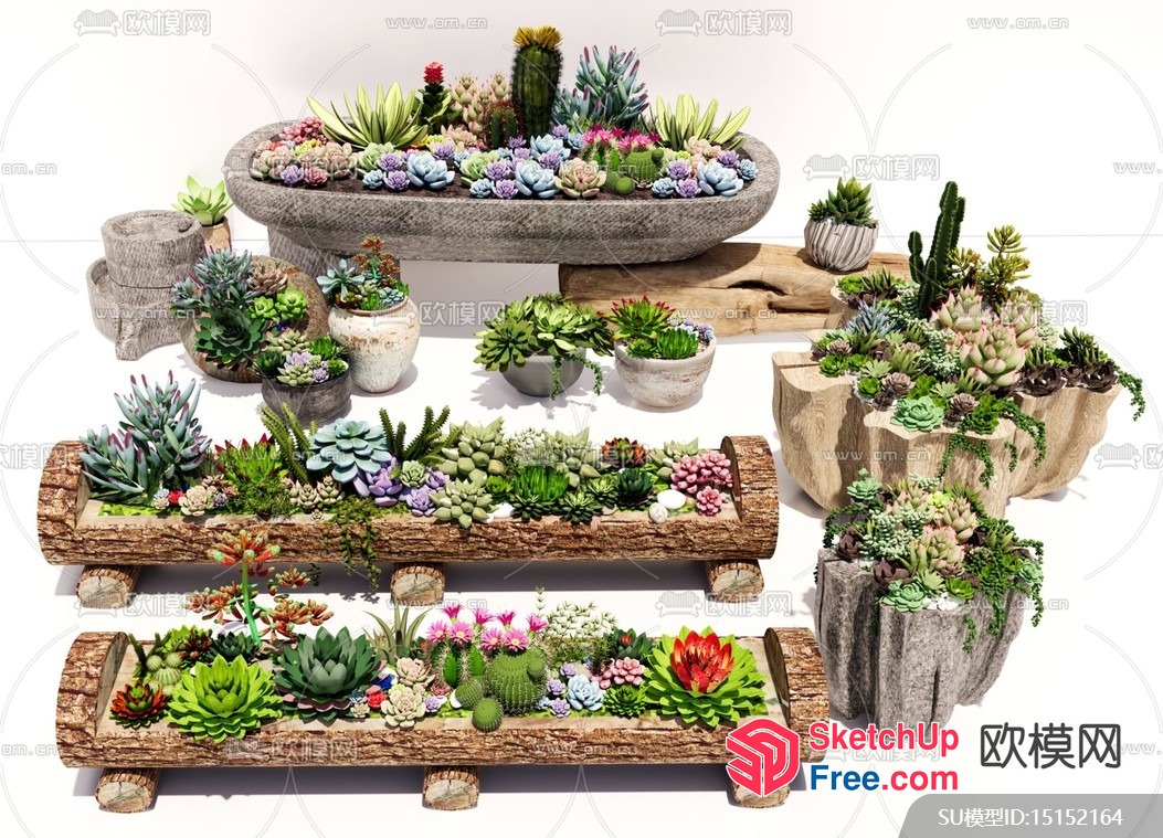 Succulent Garden Arrangement 3D SketchUp File