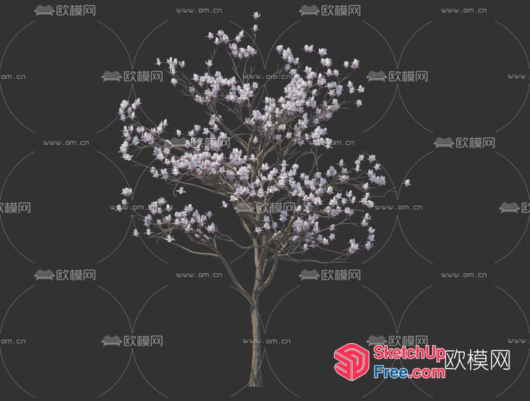 Tree With White Flowers 3D SketchUp File