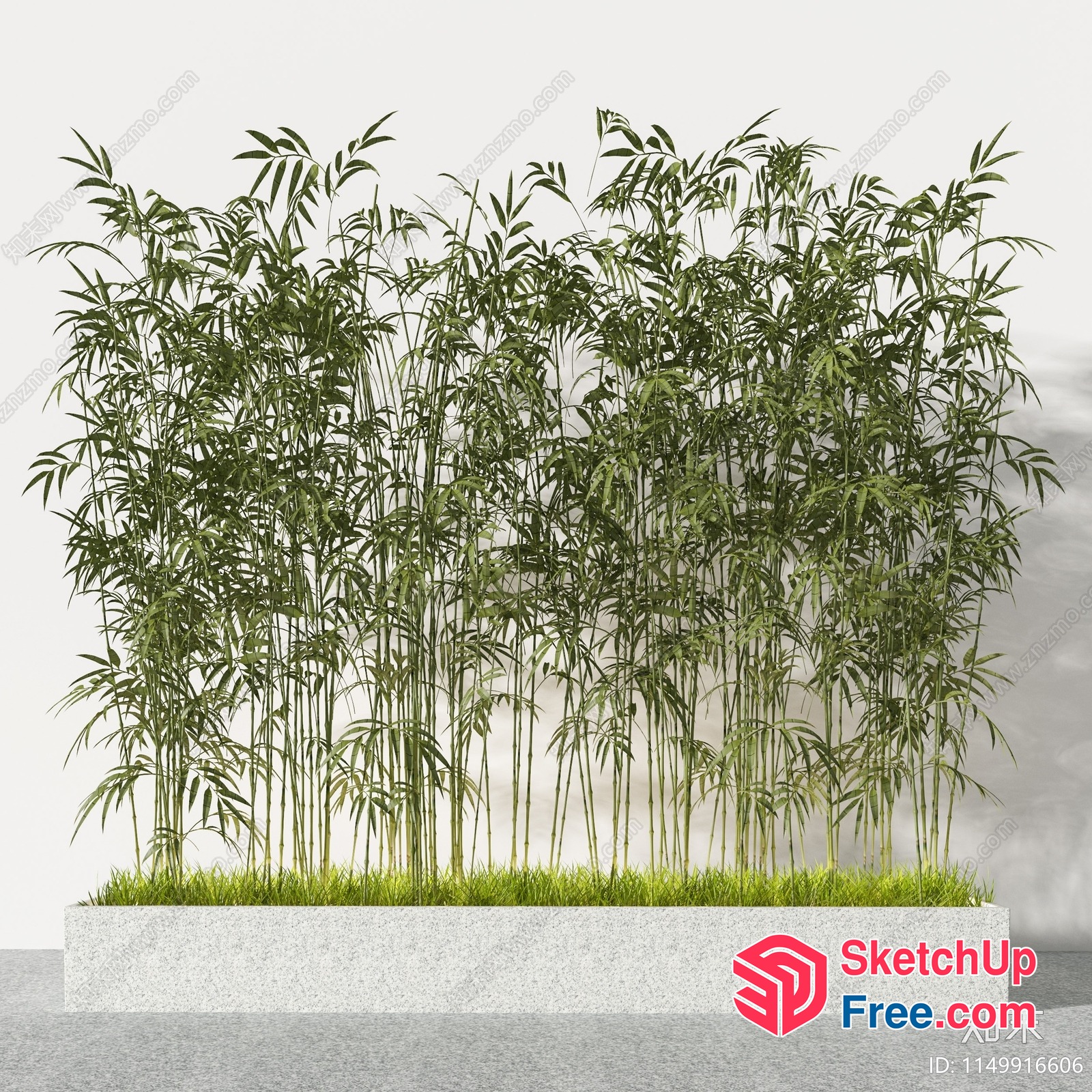 Decorative Bamboo Plants In A Modern Planter 3D SketchUp File