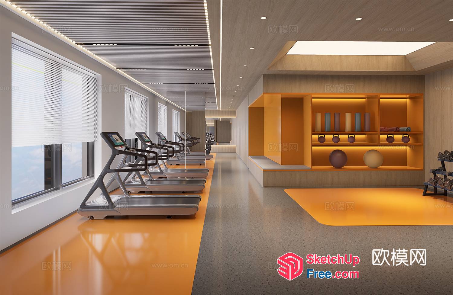 Modern Gym Interior With Sleek And Functional Design 3D SketchUp File