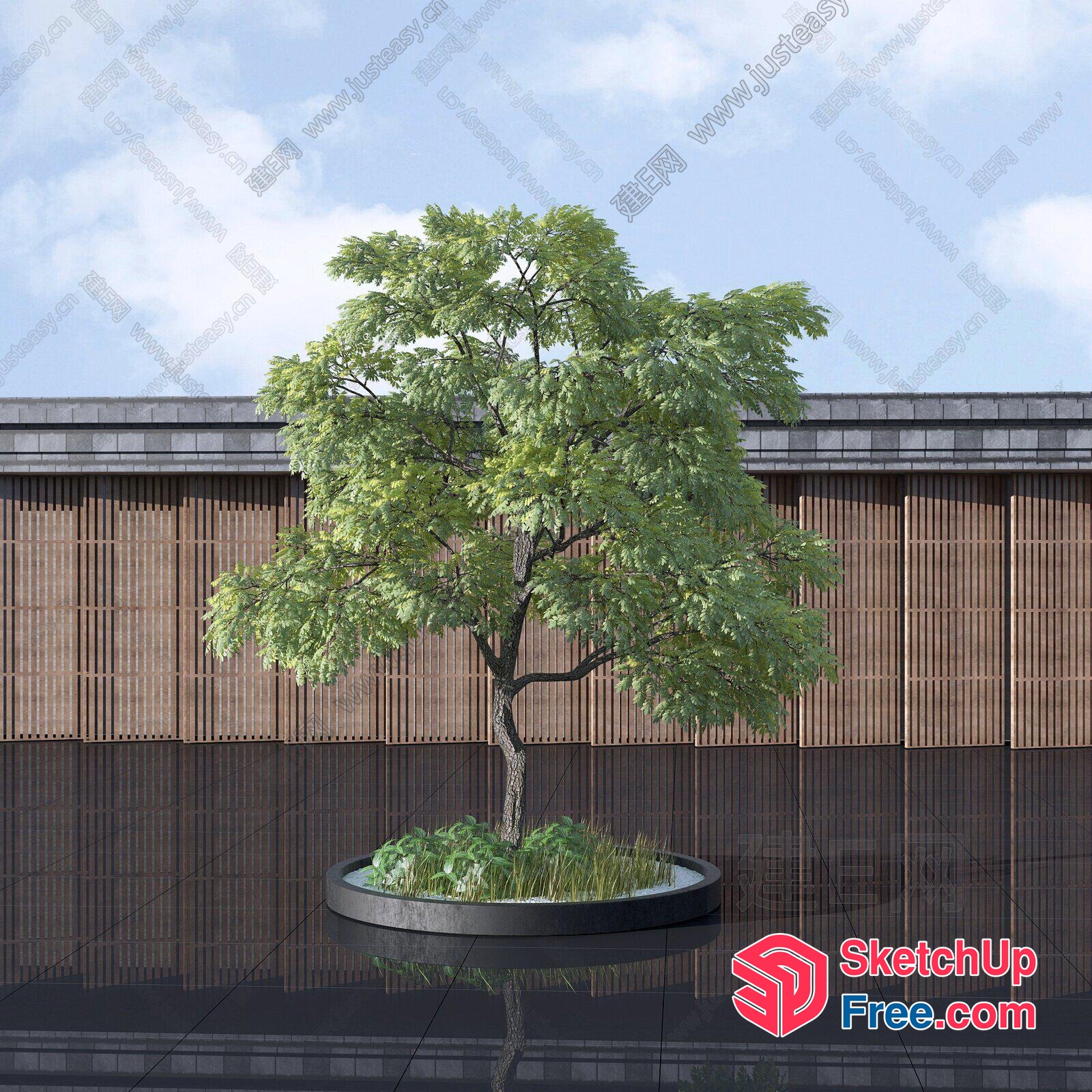 Tree In A Planter With A Glass Wall 3D SketchUp File