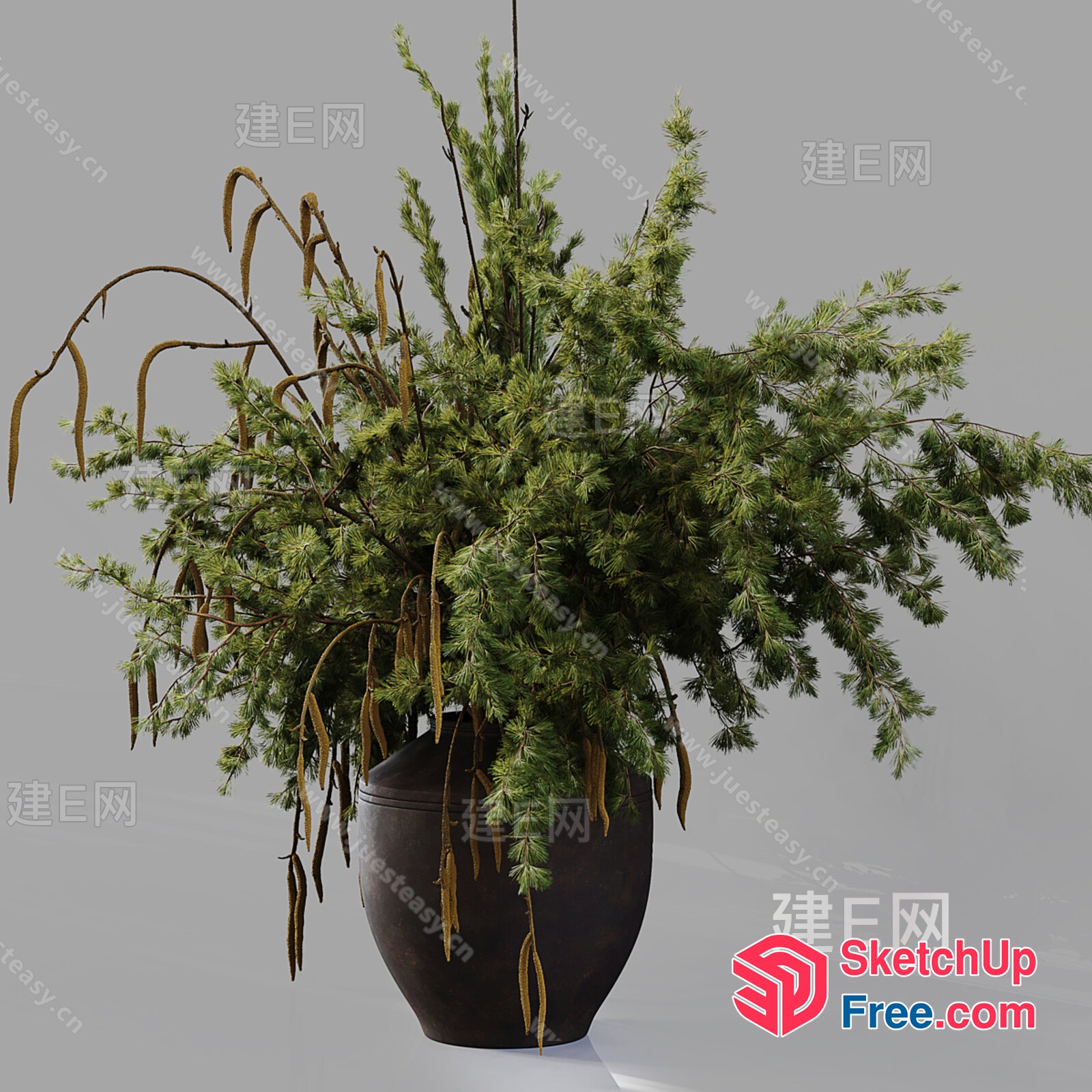 Potted Plant With Hanging Branches And Vase 3D SketchUp File