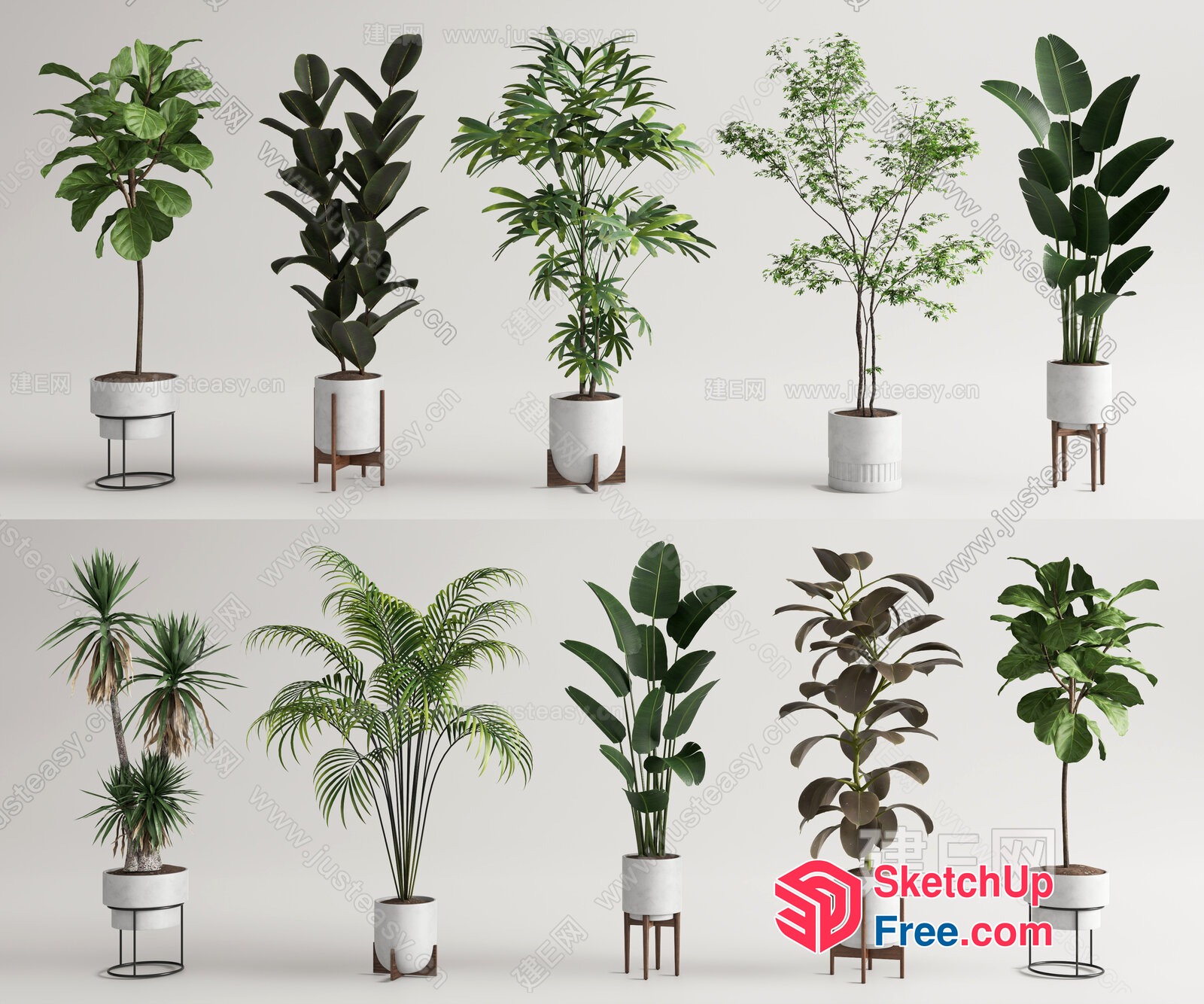 Various Potted Plants 3D SketchUp File