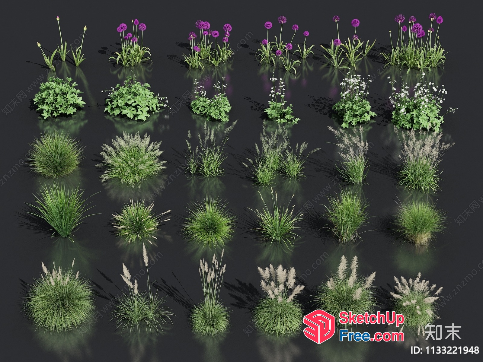 3D Rendered Grass And Flowers 3D SketchUp File