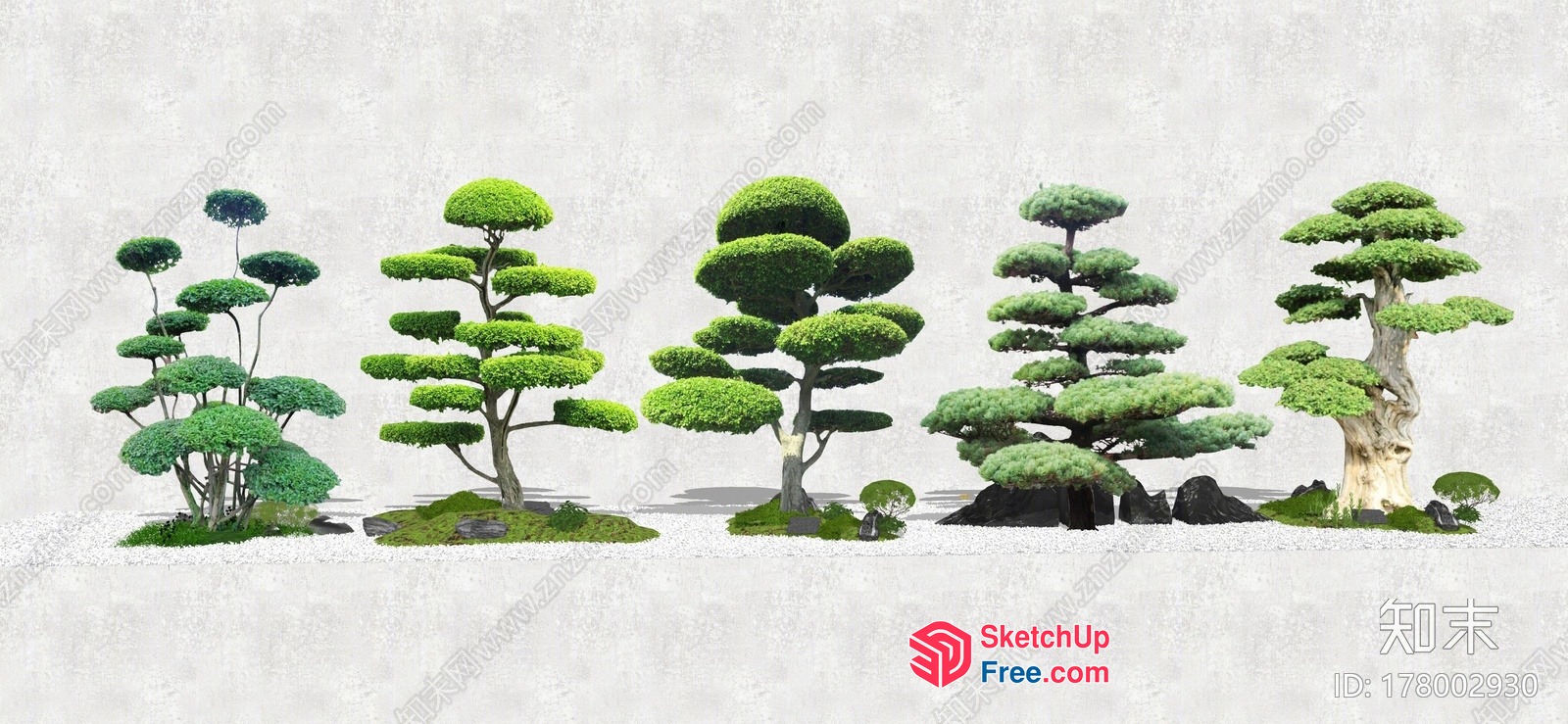 Serene Japanese Landscape With Unique Trees 3D SketchUp File