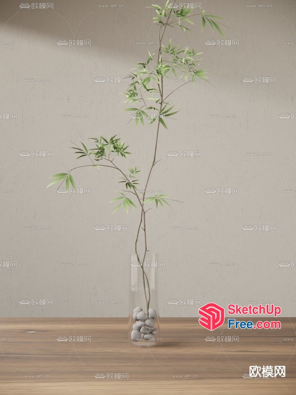 Elegant Bamboo Plant In A Sleek Glass Vase 3D SketchUp File