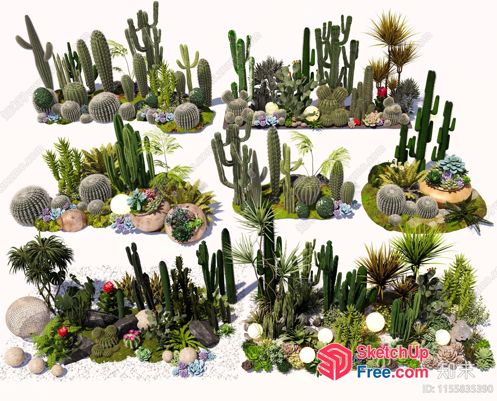 Cacti And Succulents Garden Arrangement 3D SketchUp File