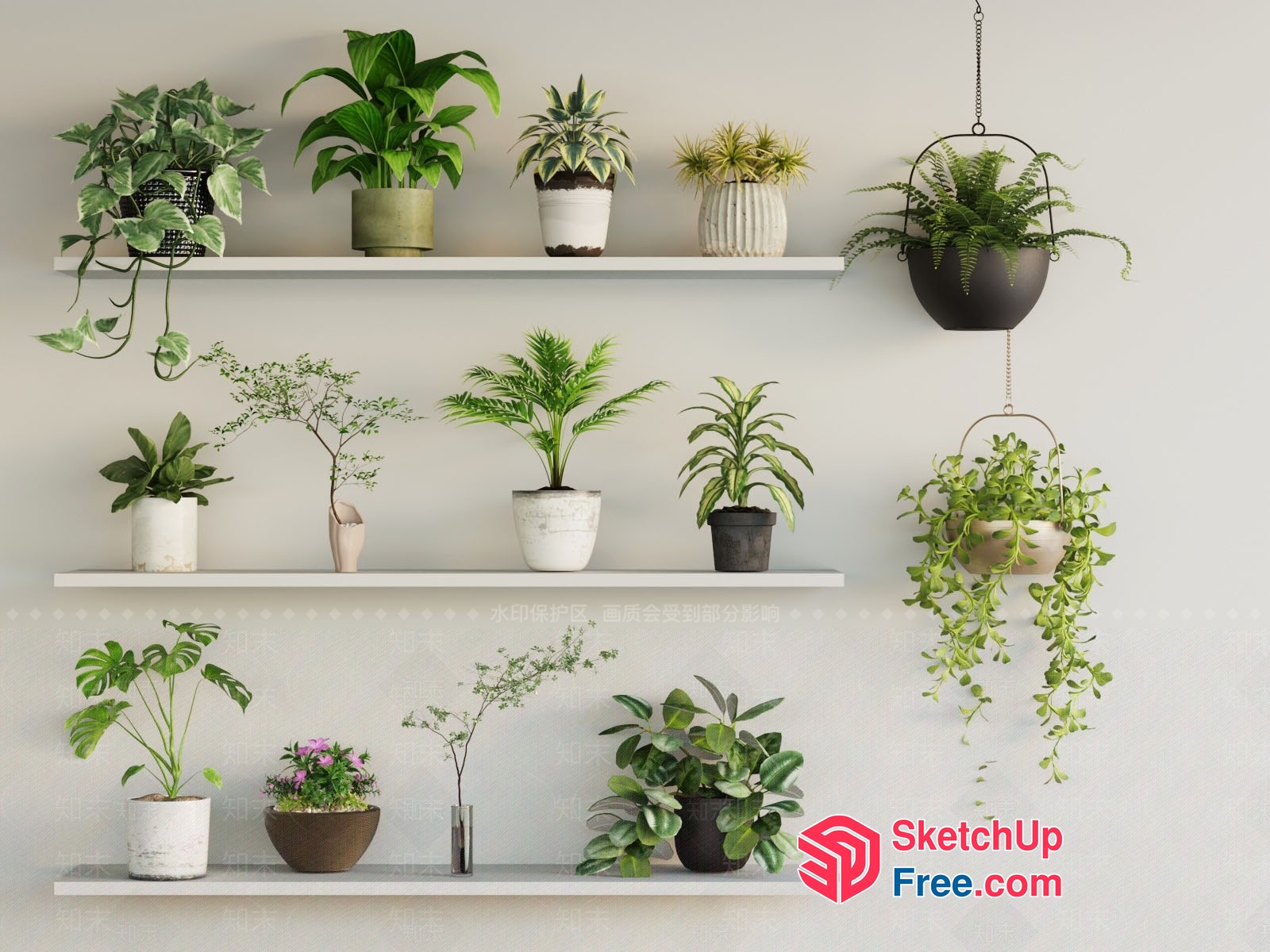 Potted Plants On Shelves 3D SketchUp File