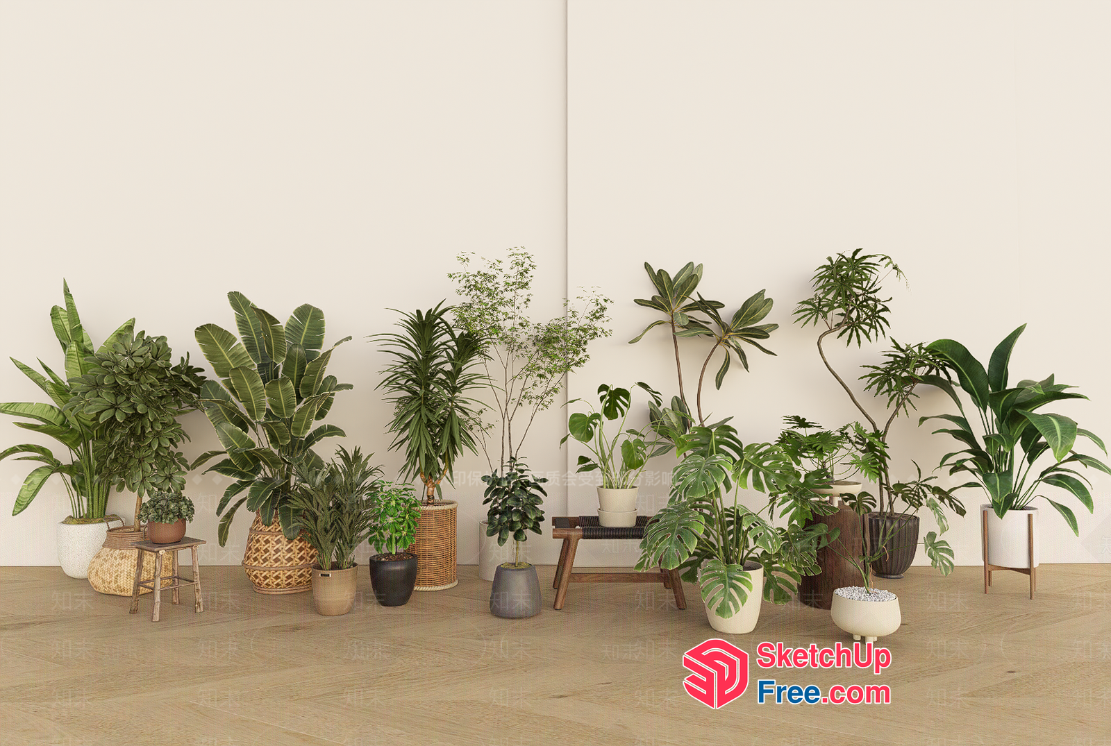 Potted Plants In Various Styles And Sizes 3D SketchUp File