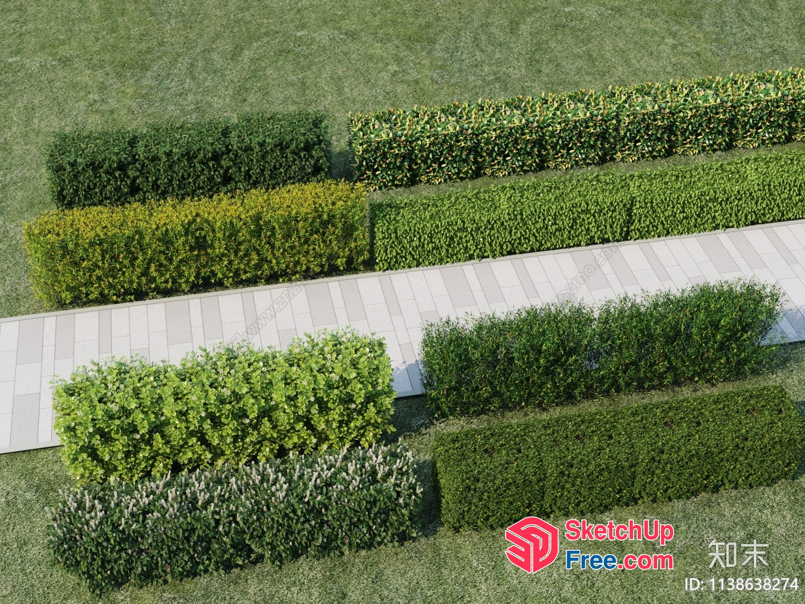 Outdoor Decorative Greenery 3D SketchUp File
