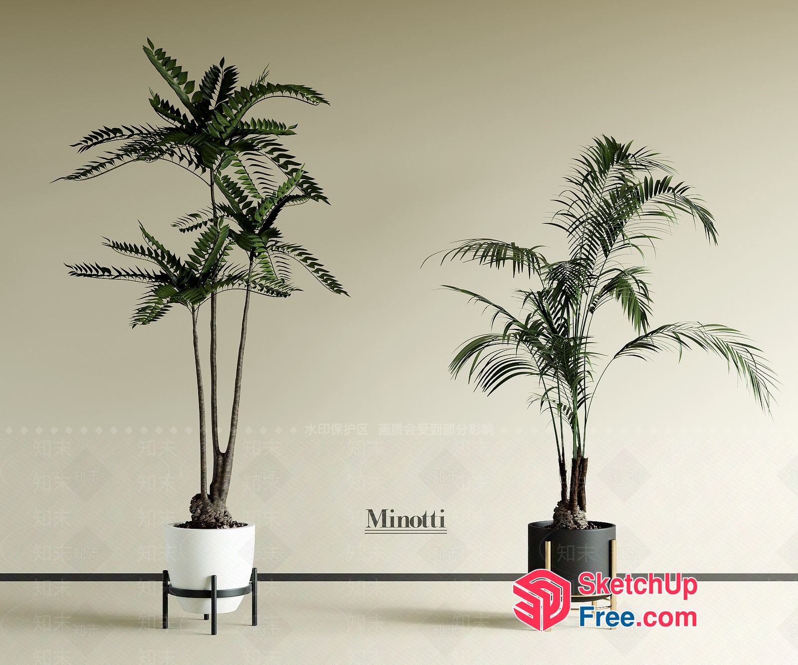 Minotti Planters And Potted Plants 3D SketchUp File