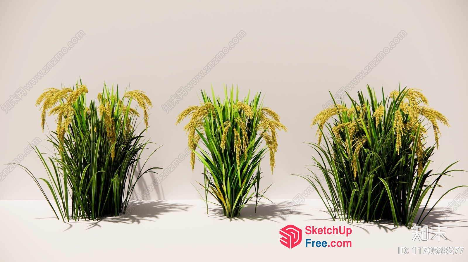 Grasses And Yellow Flowers In A Light Setting 3D SketchUp File