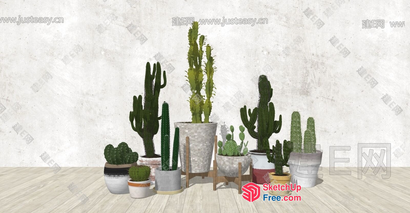 Decorative Potted Cacti And Succulents 3D SketchUp File