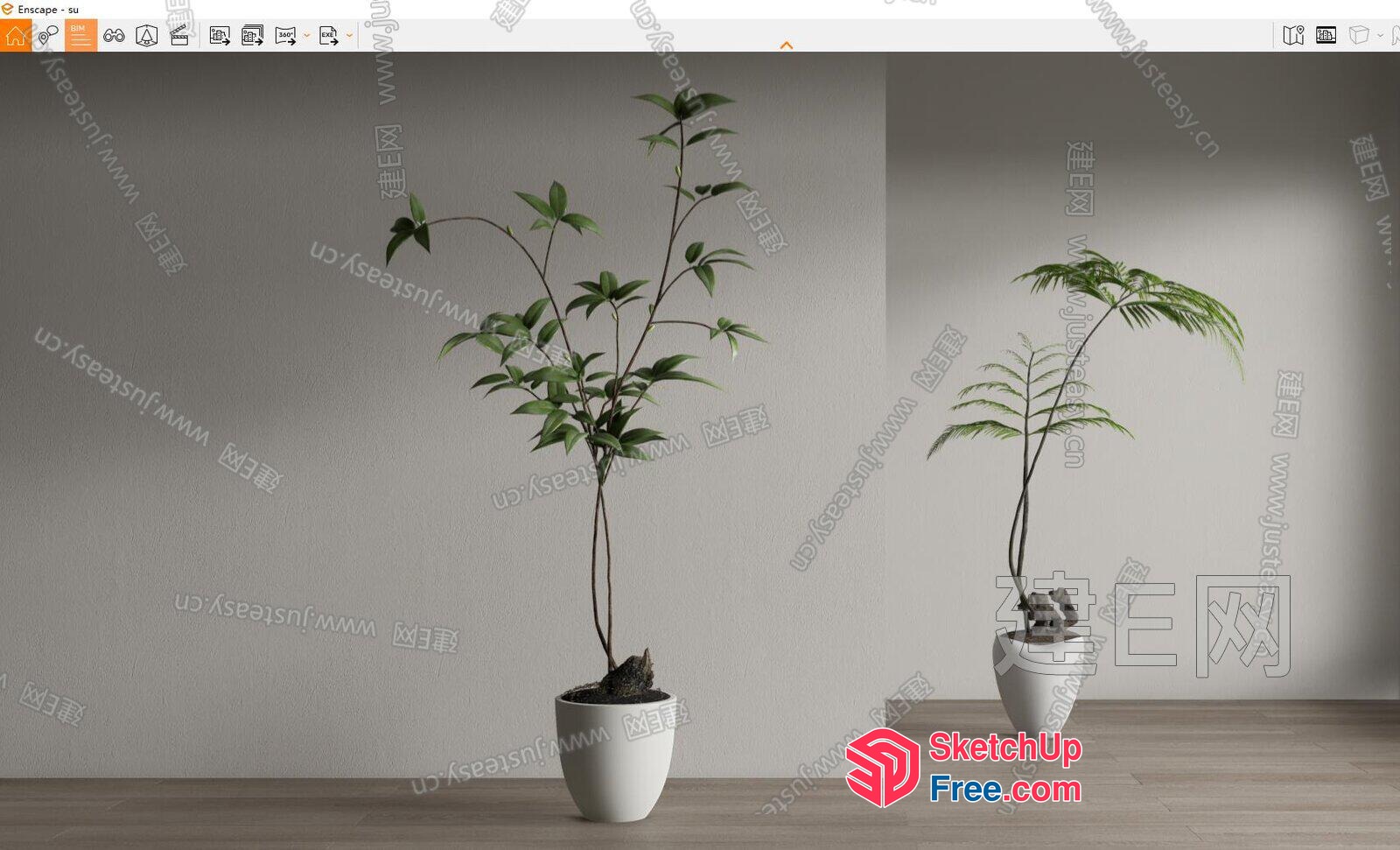 Potted Plants In White Pots 3D SketchUp File