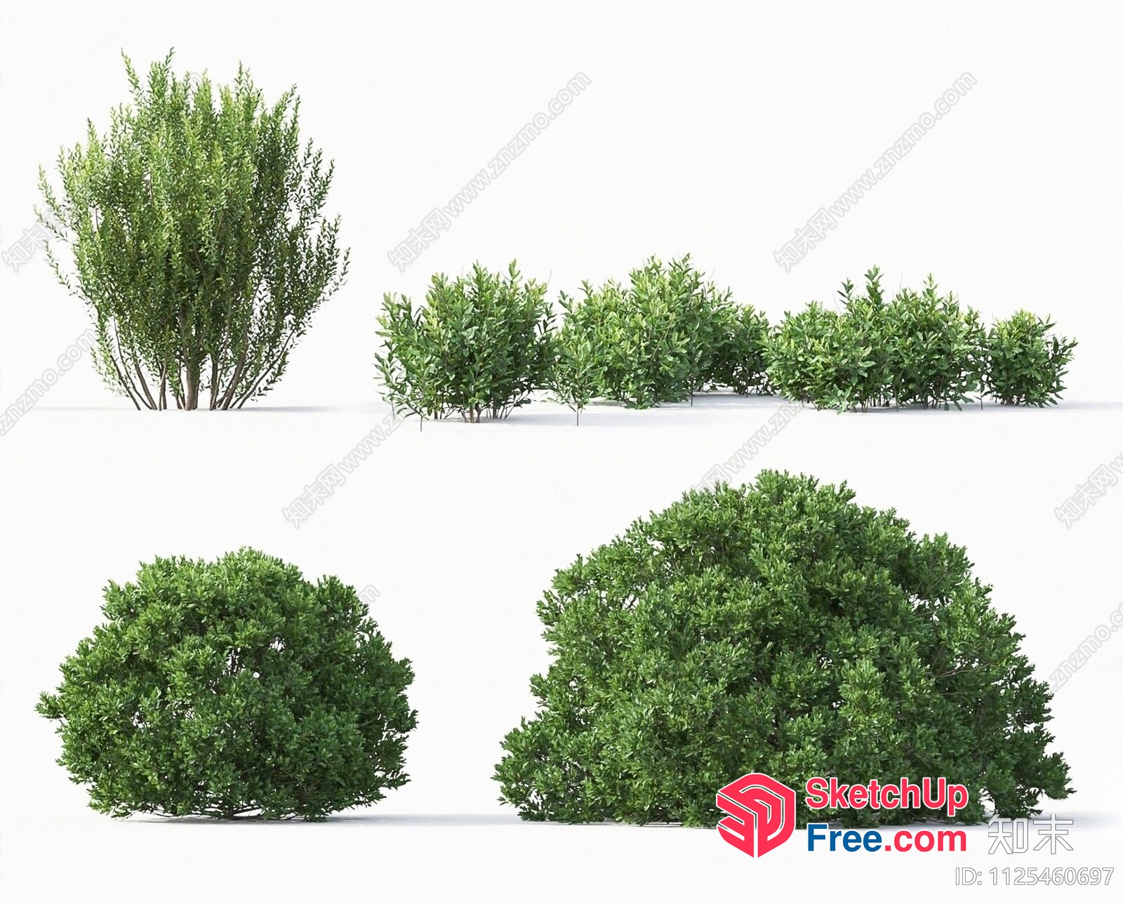 3D Greenery Plants Collection 3D SketchUp File