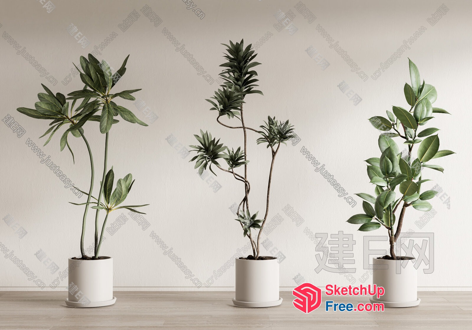 Three Potted Plants In A Neutral Room 3D SketchUp File
